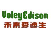 未来爱迪生
