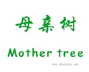 母亲树