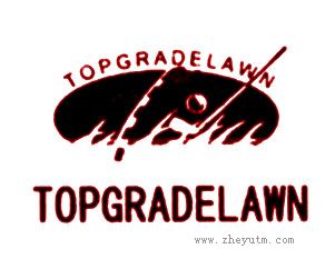 TOPGRADELAWN