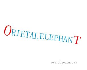ORIETAL ELEPHANT
