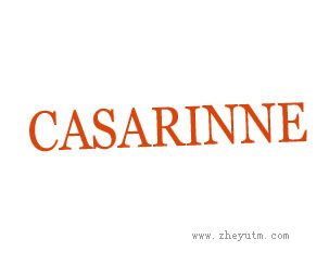 CASARINNE