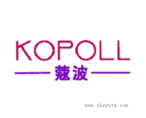 蔻波