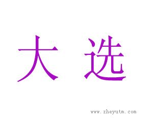 大选
