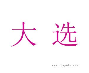 大选
