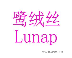 鹭绒丝