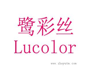 鹭彩丝