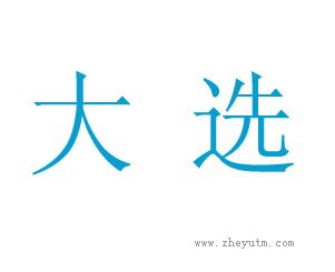 大选