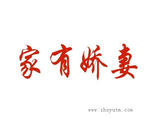家有娇妻