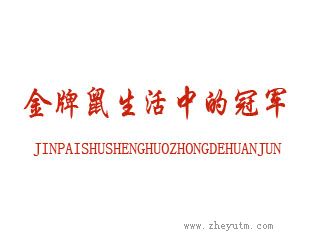 金牌鼠生活中的冠军