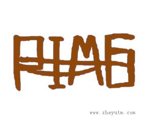 PIMG