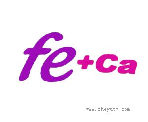 FE CA