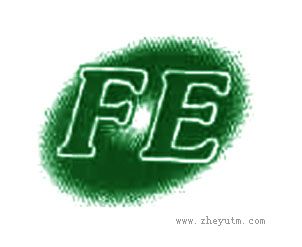 FE