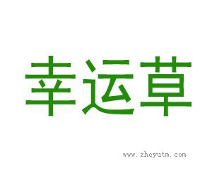 幸运草