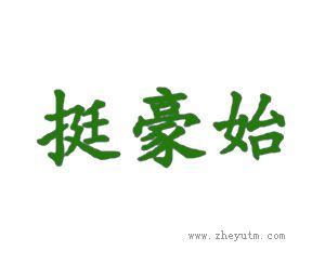 挺豪始
