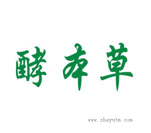 酵本草