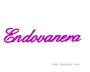 ENDOVANERA