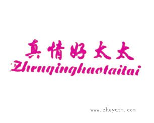 真情好太太