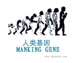 人类基因