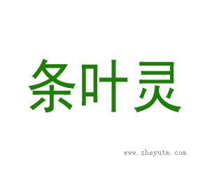 条叶灵