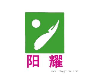 阳耀