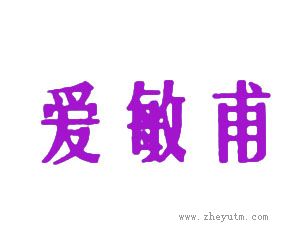 爱敏甫