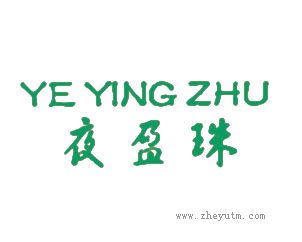 夜盈珠
