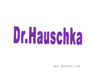 DR HANSCHKA