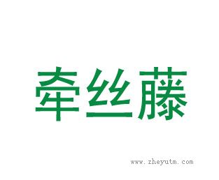 牵丝藤