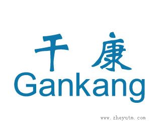 干康