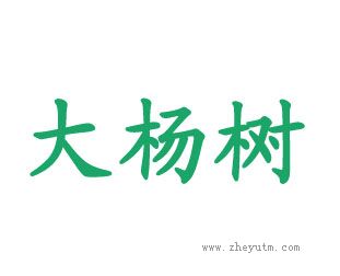 大杨树