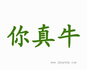 你真牛