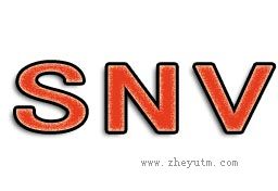 SNV