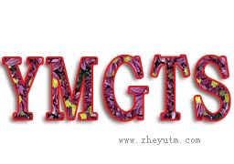 YMGTS