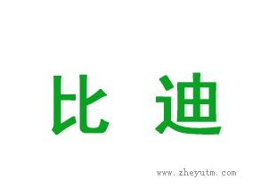 比迪