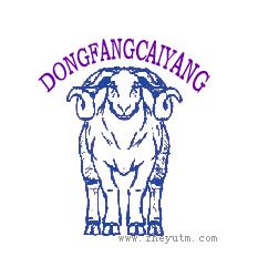 DONGFANGCAIYANG