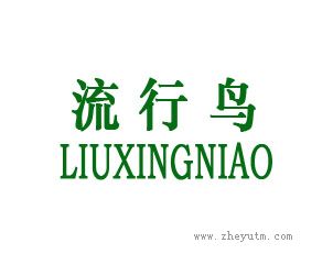 流行鸟