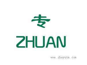 专