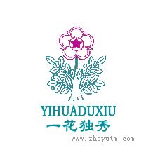 一花独秀