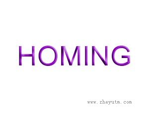 HOMING