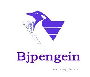 BJPENGEIN