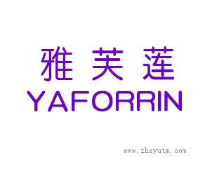 雅芙莲
