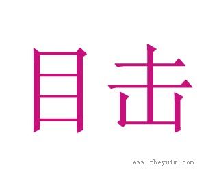 目击