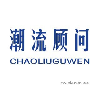 潮流顾问