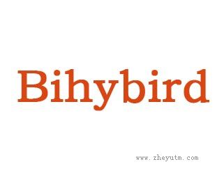 BIHYBIRD