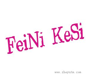 FEINI KESI