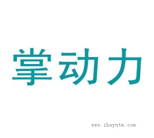 掌动力