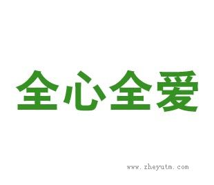 全心全爱