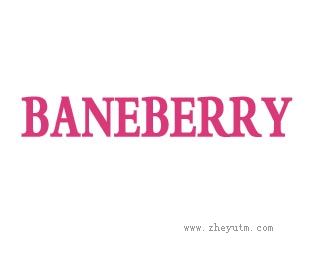 BANEBERRY