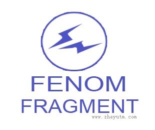 FENOM FRAGMENT