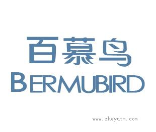 百慕鸟